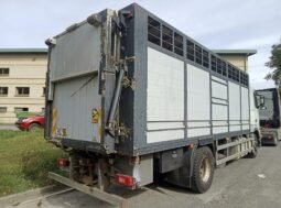 Volvo FH12 con caja ganadera