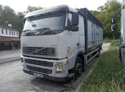 Volvo FH12 con caja ganadera