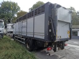 Volvo FH12 con caja ganadera